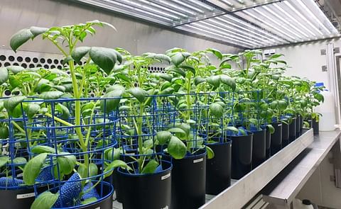 Europatat Adapt Europatat Adapt