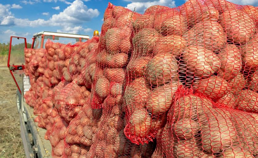 Europatat calls on the European Parliament for an urgent solution in restoring normal EU-GB trade in seed potatoes
