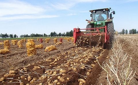 The Farm to Fork Strategy is at the heart of the European Green Deal aiming to make food systems fair, healthy, and environmentally-friendly.
The Farm to Fork Strategy is at the heart of the European Green Deal aiming to make food systems fair, healthy, and environmentally-friendly.