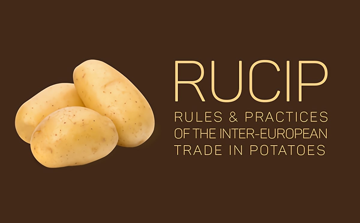 New rules and practices of the inter-European trade in potatoes; RUCIP secretariat to Brussels New rules and practices of the inter-European trade in potatoes; RUCIP secretariat to Brussels