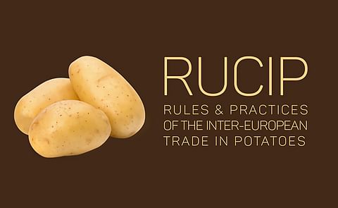 Starting January 1, 2017, a new set of Rules and Practices of the Inter-European Trade in Potatoes (RUCIP) will start to apply Starting January 1, 2017, a new set of Rules and Practices of the Inter-European Trade in Potatoes (RUCIP) will start to apply