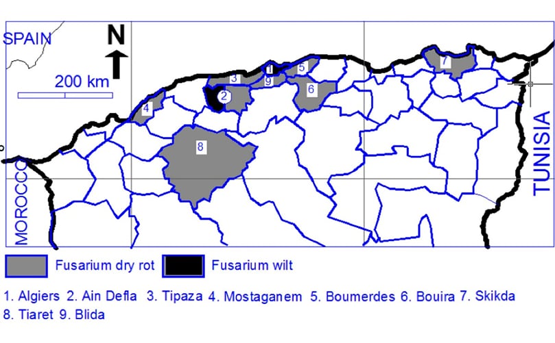 European Journal of Plant Pathology: Identification and pathogenicity of Fusarium spp. associated with tuber dry rot and wilt of potato in Algeria European Journal of Plant Pathology: Identification and pathogenicity of Fusarium spp. associated with tuber dry rot and wilt of potato in Algeria