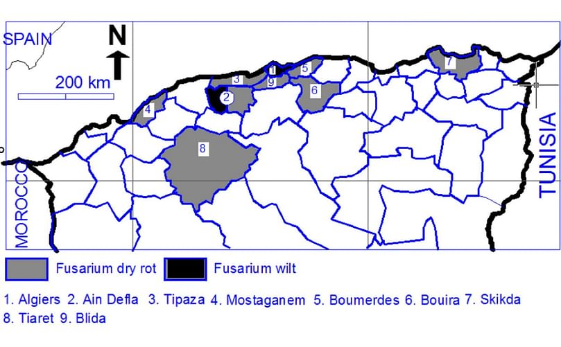 European Journal of Plant Pathology: Identification and pathogenicity of Fusarium spp. associated with tuber dry rot and wilt of potato in Algeria