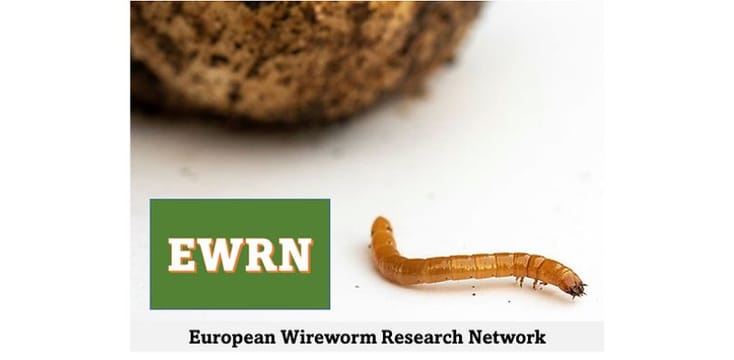 European Wireworm Research Network- Logo