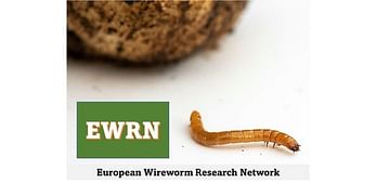 European Wireworm Research Network- Logo