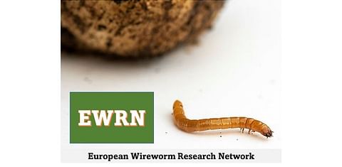 European Wireworm Research Network- Logo