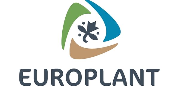 Europlant Pflanzenzucht GmbH