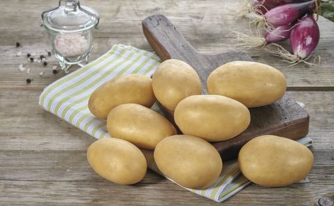 Europlant enters 17 potato varieties in its low input program.