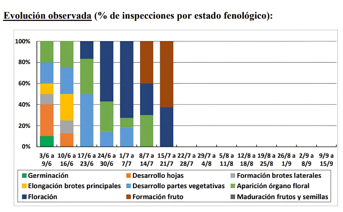 Evolución observada (% de inspecciones por estado fenológico) Evolución observada (% de inspecciones por estado fenológico)