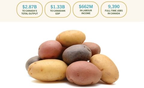 Potato industry of Alberta contributes CAD 2.87 Billion to the economy of Canada, according to PGA report Potato industry of Alberta contributes CAD 2.87 Billion to the economy of Canada, according to PGA report