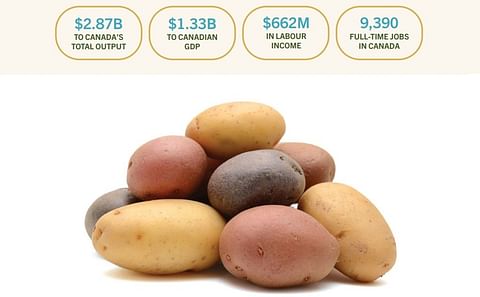 Potato industry of Alberta contributes CAD 2.87 Billion to the economy of Canada, according to PGA report