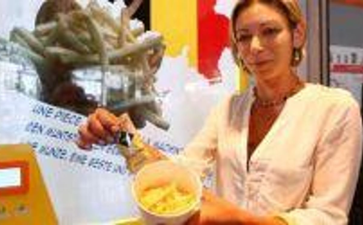 Expendedor automático de papas fritas en Bélgica Expendedor automático de papas fritas en Bélgica
