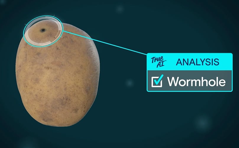 Analyse Wormhole with Ellips AI tools Analyse Wormhole with Ellips AI tools