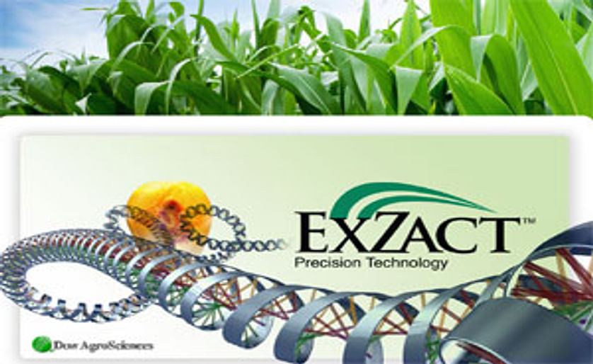 WUR to improve the quality of potato starch with DOW's EXZACT™ Precision Technology