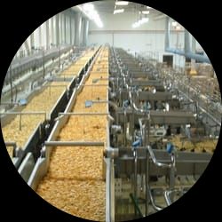 Platforms and Distribution Systems