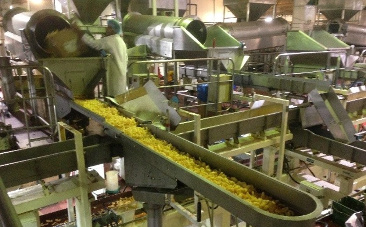 Fabcon Food Systems - E-MOTION Vibratory Conveyor