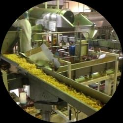 E-MOTION Vibratory Conveyor