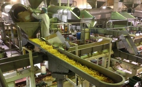 Fabcon Food Systems - E-MOTION Vibratory Conveyor Fabcon Food Systems - E-MOTION Vibratory Conveyor