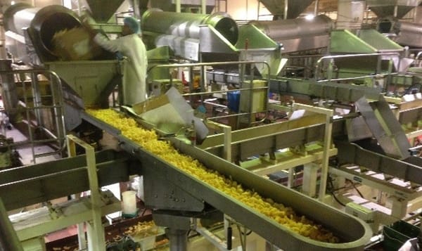 Fabcon Food Systems - E-MOTION Vibratory Conveyor Fabcon Food Systems - E-MOTION Vibratory Conveyor