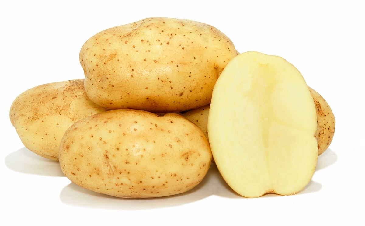 The potato variety Fabula (Courtesy: Potatoes Canada)