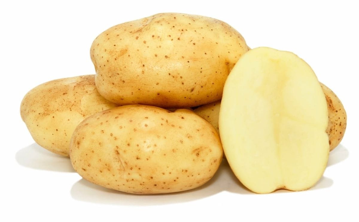 Fabula potato crop looks promising on Prince Edward Island Fabula potato crop looks promising on Prince Edward Island