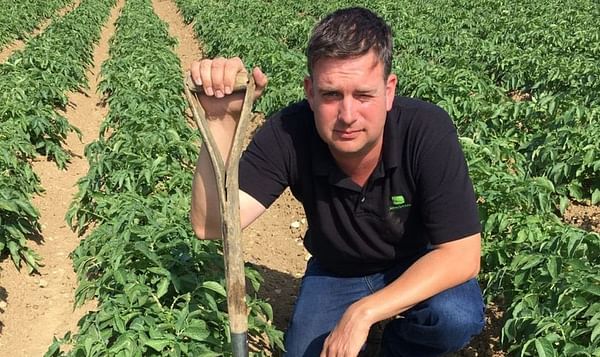 Extreme drought might impact European Potato crop growing on a slightly increased acreage