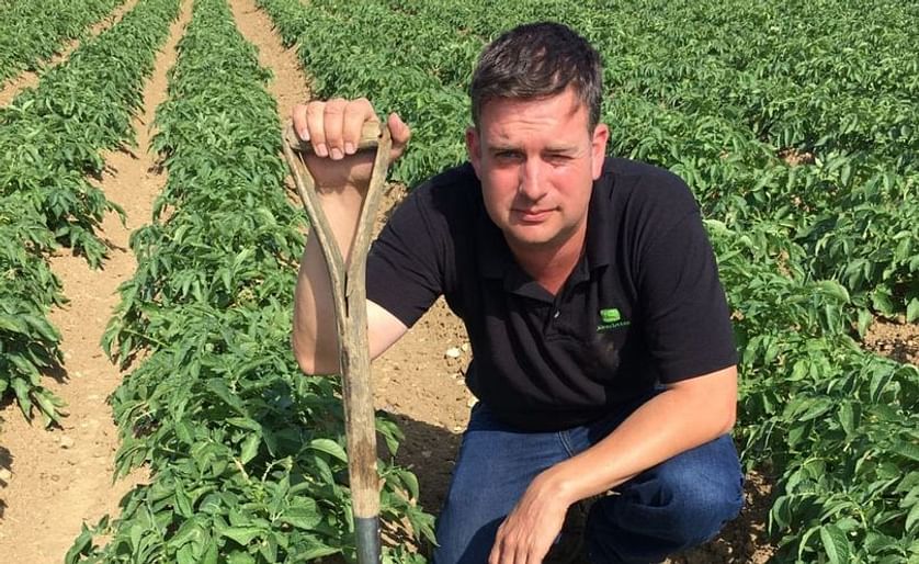 Fairfields Farm crisps' owner Robert Strathern in his potato field. The crop is stressed as a result of a prolonged period of hot weather with no rain (Courtesy: Robert Strathern)