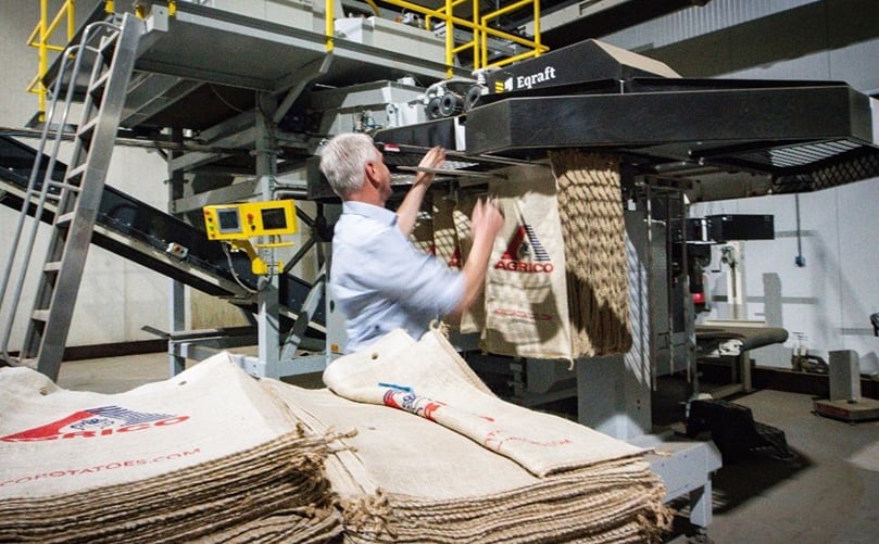 Potato packing operations at Agrico's facility, managed by the Schuiling family, ensuring top-quality produce for global distribution
