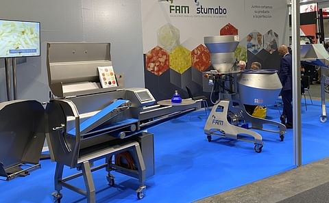 Potato slicing machine - Centris 400P - FAM nv - automatic / stainless  steel / continuous