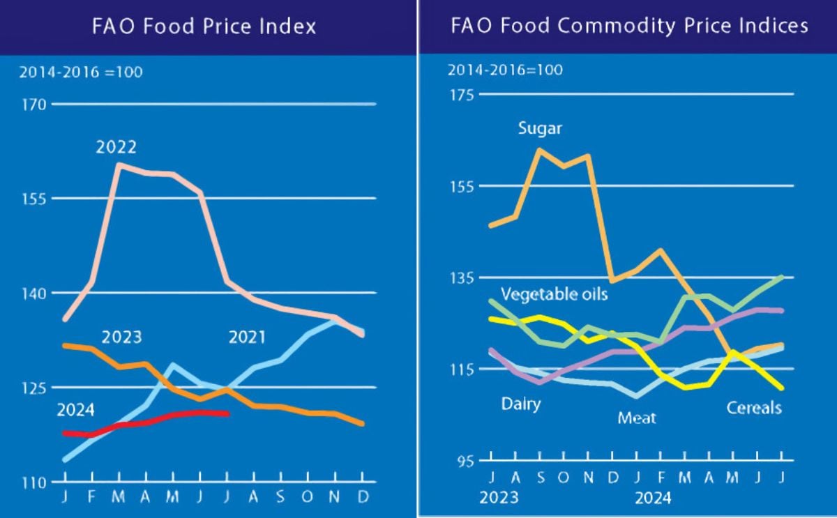 El índice de precios de los alimentos de la FAO disminuye ligeramente en julio: la bajada de las cotizaciones de los cereales compensa la subida de los precios de los aceites vegetales, la carne y el azúcar El índice de precios de los alimentos de la FAO disminuye ligeramente en julio: la bajada de las cotizaciones de los cereales compensa la subida de los precios de los aceites vegetales, la carne y el azúcar