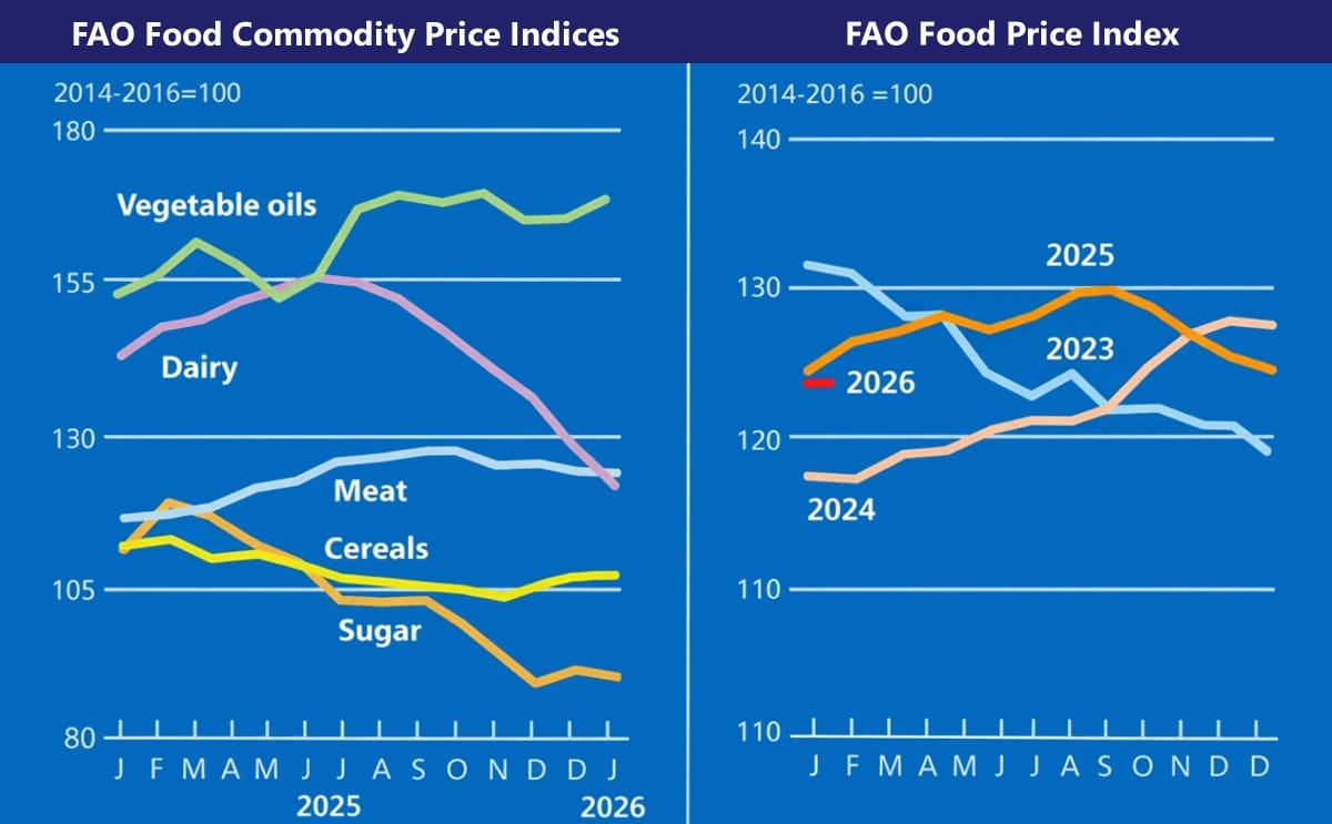 FAO Food Commodity Price Index and FAO Food Price Index FAO Food Commodity Price Index and FAO Food Price Index