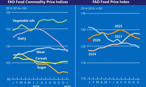 FAO news feb 2026 FAO news feb 2026