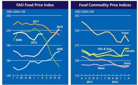 No increase in world food prices in August No increase in world food prices in August