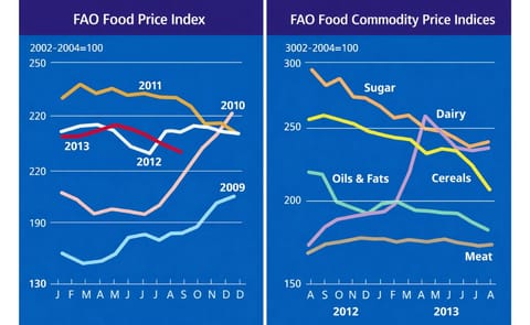 World Food Prices continue to fall World Food Prices continue to fall