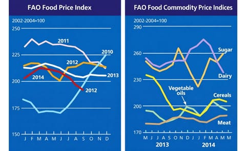 In May FAO Food Price Index fell for the second consecutive month In May FAO Food Price Index fell for the second consecutive month
