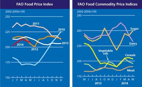 In May FAO Food Price Index fell for the second consecutive month In May FAO Food Price Index fell for the second consecutive month