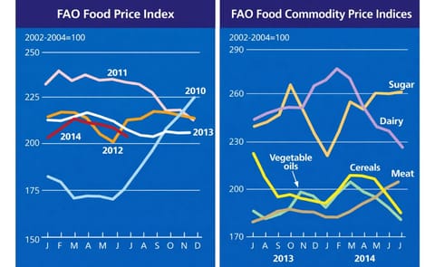 The FAO Food Price Index fell to a six-month low in July The FAO Food Price Index fell to a six-month low in July