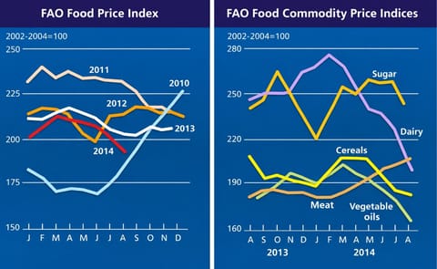 The FAO Food Price Index falls to its lowest level since September 2010 The FAO Food Price Index falls to its lowest level since September 2010