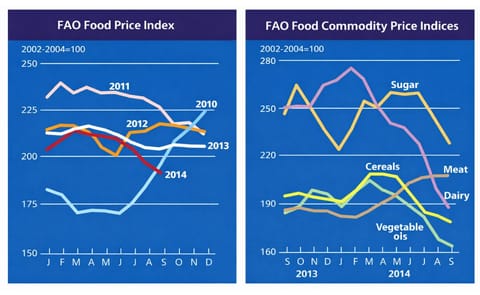 The FAO Food Price Index falls for the sixth consecutive month The FAO Food Price Index falls for the sixth consecutive month