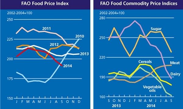 The FAO Food Price Index falls for the sixth consecutive month