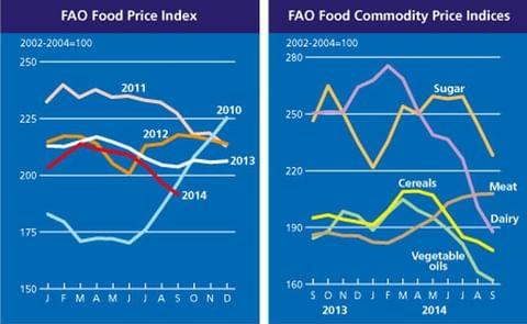 The FAO Food Price Index falls for the sixth consecutive month The FAO Food Price Index falls for the sixth consecutive month