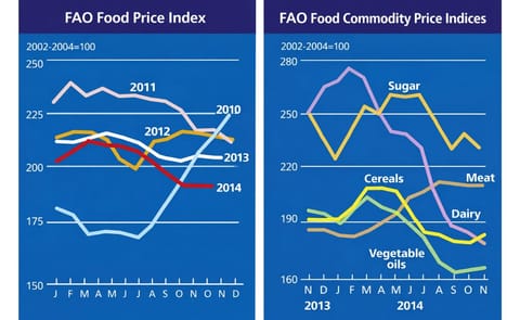 The FAO Food Price Index remained steady for the third consecutive month The FAO Food Price Index remained steady for the third consecutive month