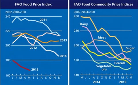 FAO Food Price Index falls to its lowest value since September 2009 FAO Food Price Index falls to its lowest value since September 2009