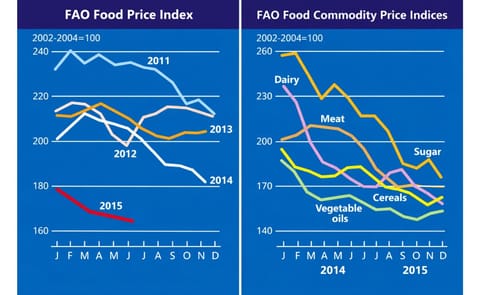 FAO Food Price Index down 0.9 percent in June, as dairy and sugar prices fall FAO Food Price Index down 0.9 percent in June, as dairy and sugar prices fall
