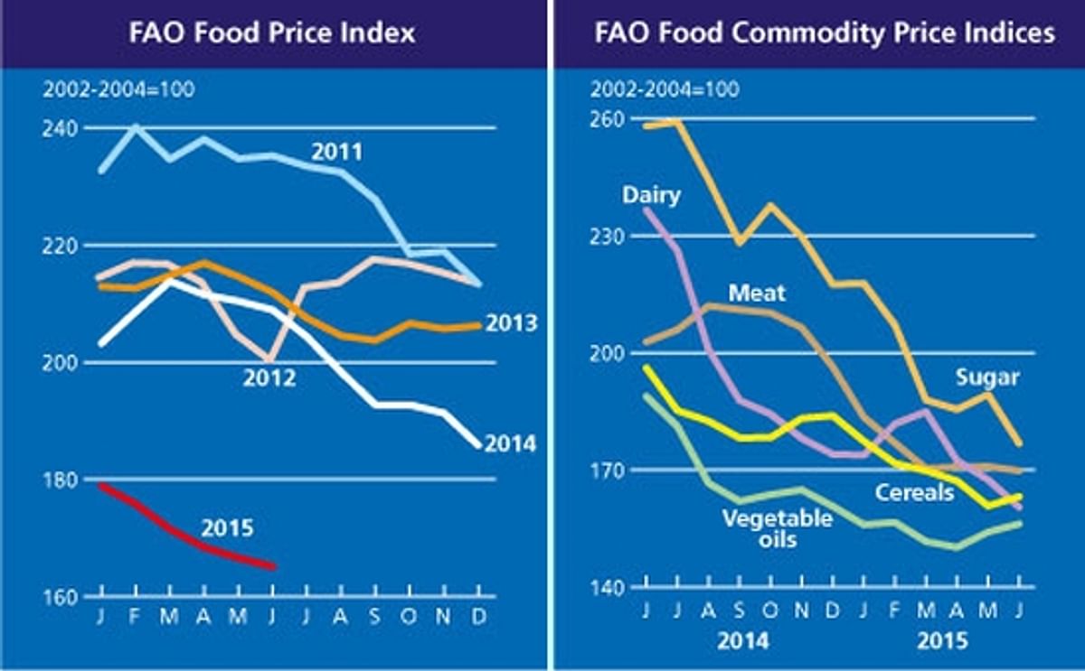 FAO Food Price Index down 0.9 percent in June, as dairy and sugar prices fall