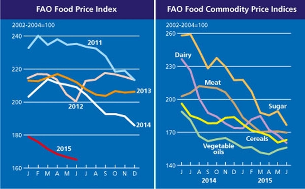 FAO Food Price Index down 0.9 percent in June, as dairy and sugar prices fall FAO Food Price Index down 0.9 percent in June, as dairy and sugar prices fall
