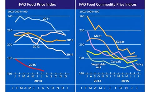 The FAO Food Price Index (left) and the FAO Food Commodity Price Indices (right) up to July, 2015 (release date 2015/08/06) The FAO Food Price Index (left) and the FAO Food Commodity Price Indices (right) up to July, 2015 (release date 2015/08/06)
