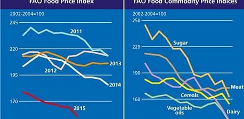 FAO Food Price Index for August saw sharpest drop since 2008