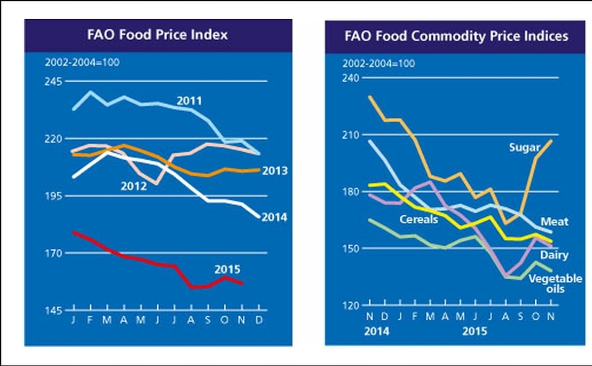 FAO Food Price Index resumed fall in November after a spike in October FAO Food Price Index resumed fall in November after a spike in October