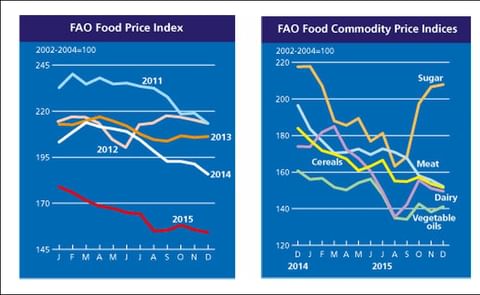 Global Food Prices fell almost 19% during 2015, according to the FAO Food Price Index (FFPI). The drop in food prices continued in December. Global Food Prices fell almost 19% during 2015, according to the FAO Food Price Index (FFPI). The drop in food prices continued in December.